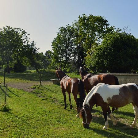 Farm Stay Zevnik Brezice Bagian luar foto