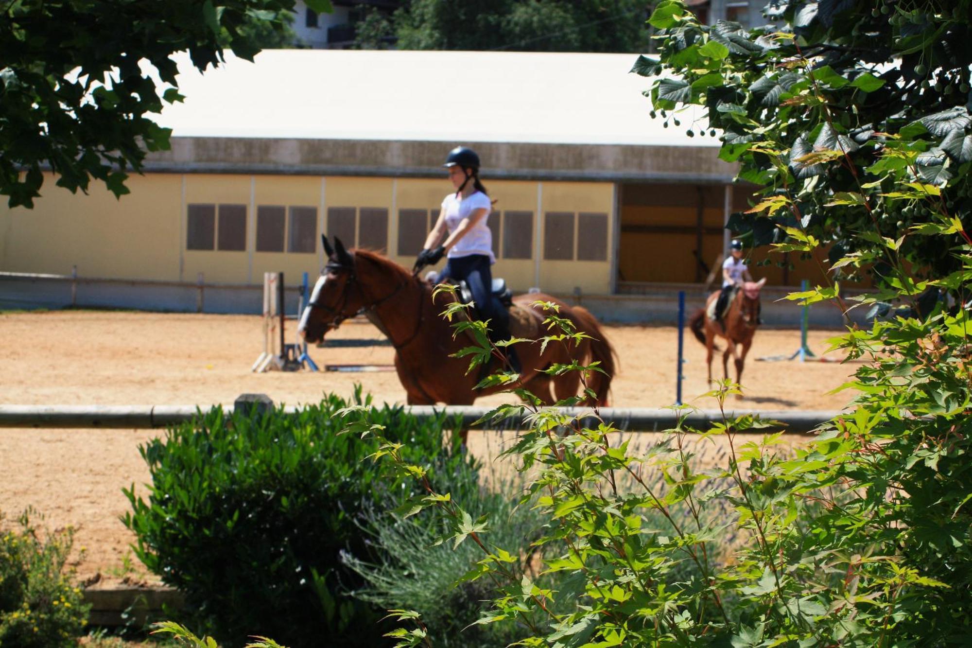 Farm Stay Zevnik Brezice Bagian luar foto