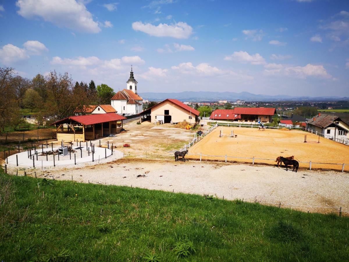 Farm Stay Zevnik Brezice Bagian luar foto